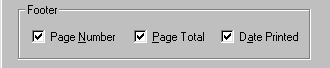 Page Setup Footer Options